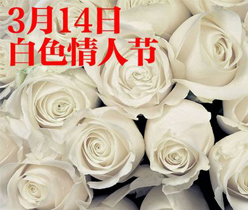 深圳廣告設(shè)計(jì),廣告設(shè)計(jì)公司,深圳logo標(biāo)志設(shè)計(jì)公司,