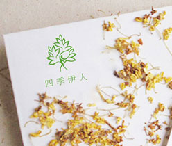 四季伊人美容會(huì)所 美容會(huì)所logo設(shè)計(jì)