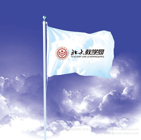 北大教學(xué)網(wǎng) 網(wǎng)站標(biāo)志設(shè)計