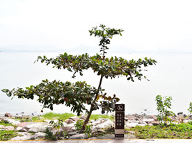 封面設(shè)計,深圳標志設(shè)計公司