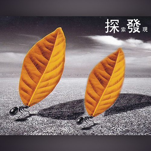 金融公司標(biāo)志設(shè)計,深圳標(biāo)志設(shè)計