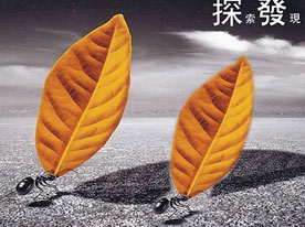 金融企業(yè)商標(biāo)設(shè)計，深圳商標(biāo)設(shè)計